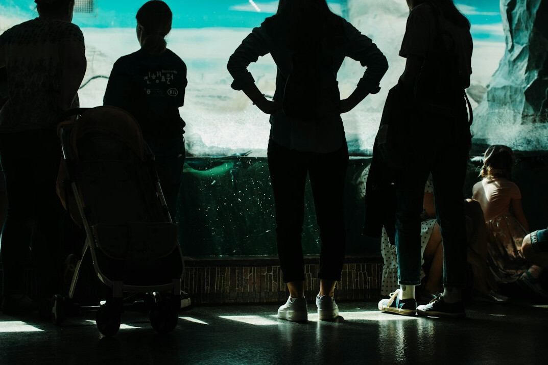 Group of adults in a workshop listening to a facilitator